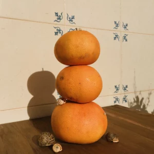 Camiseta Pomelo - Imagen 3